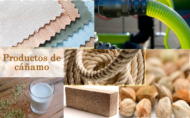 Productos elaborados con cañamo