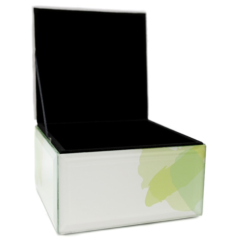Caja cristal cactus abierta