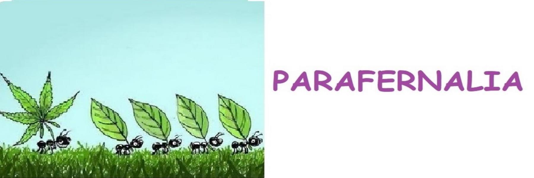 Ké t apuestes