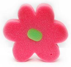 FLOR
