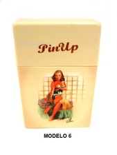 MODELO 6