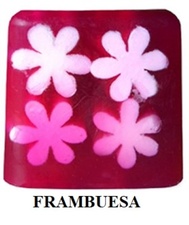 FLOWER POWER - FRAMBUESA