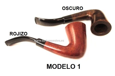 MODELO 1