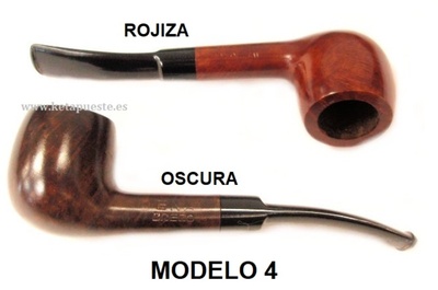 MODELO 4