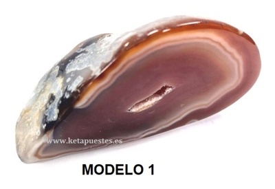 MODELO 1