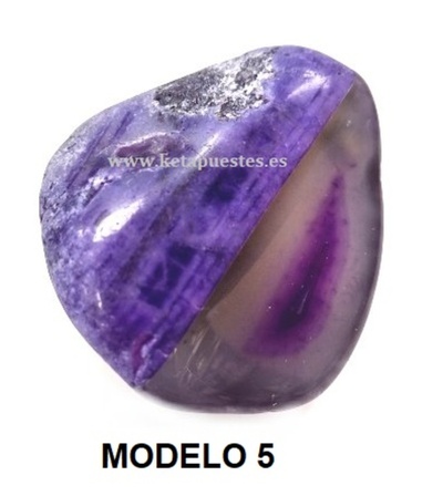 MODELO 5