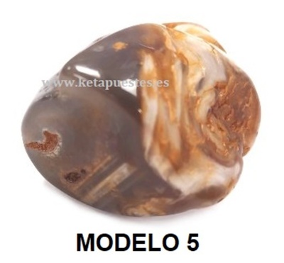MODELO 5