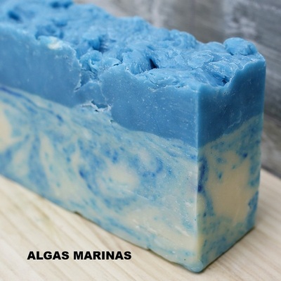 ALGAS MARINAS