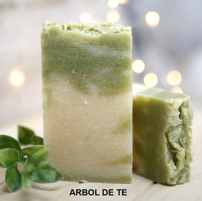 ARBOL DE TÉ