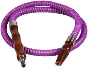 PURPURA