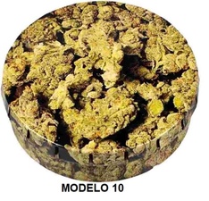 MODELO 10-COGOLLOS