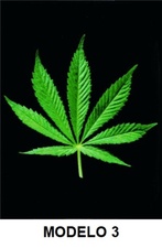 MODELO 3 - HOJA