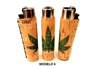 MODELO 6