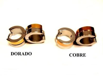 Areta bicolor modelo 2