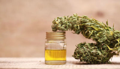 Historia del CBD: de molécula tóxica a fármaco del futuro