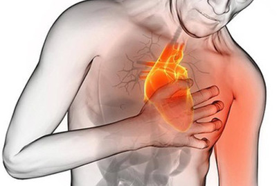 Los beneficios del CBD para proteger nuestro sistema cardiovascular
