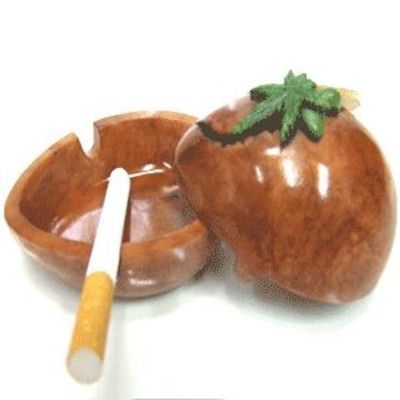 Cenicero-Caja Semilla Cañamo
