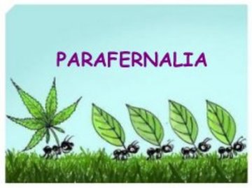 Parafernalia-Headshop